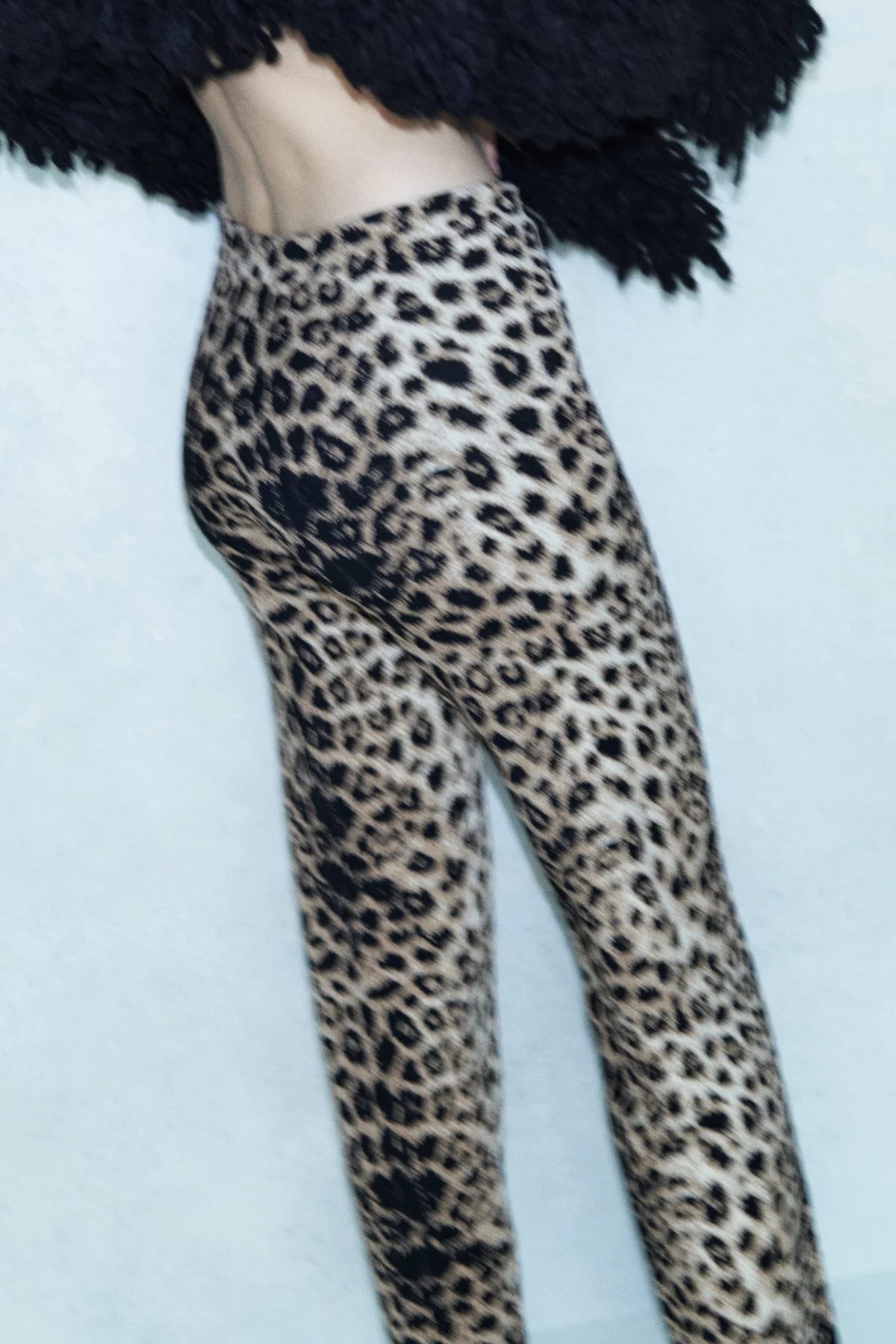 Circus Hotel Pantalone Jacquard Animalier Donna